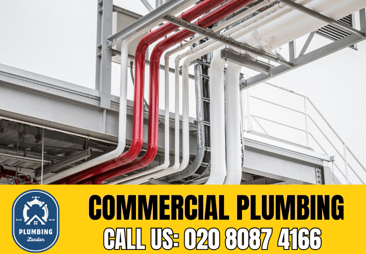 commercial plumbing West Wickham