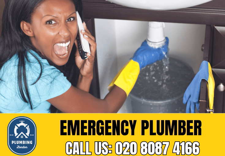 Plumber Rosebud Victoria